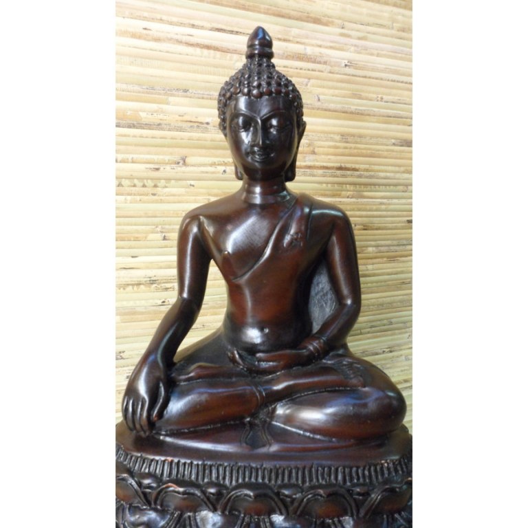 Bouddha bhumisparsha mudra 